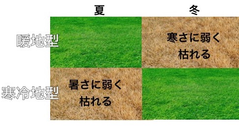 パター練習で必見 芝目の見分け方 グリーン芝攻略方法
