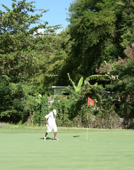 membership-golf-expenses