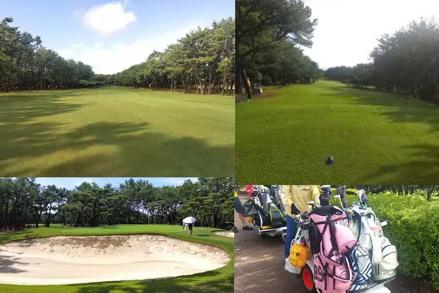 miyazaki-prefecture-golf-phoenix