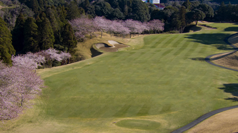 Chiba Sakuranosato Golf Club