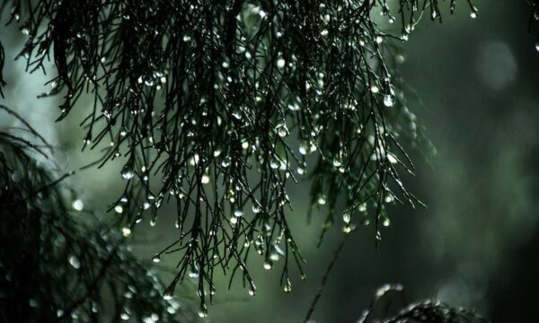 雨でも快適！30〜40代ゴルファー向け 梅雨時のゴルフ場選び完全ガイド
