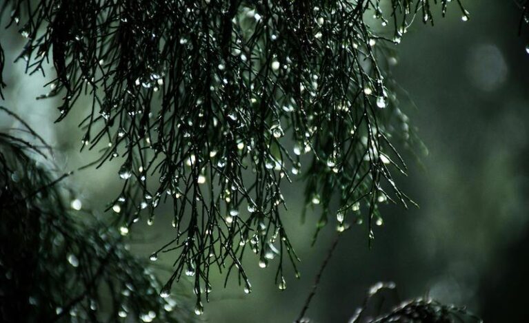 雨でも快適！30〜40代ゴルファー向け 梅雨時のゴルフ場選び完全ガイド