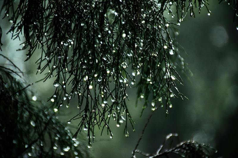 雨でも快適！30〜40代ゴルファー向け 梅雨時のゴルフ場選び完全ガイド
