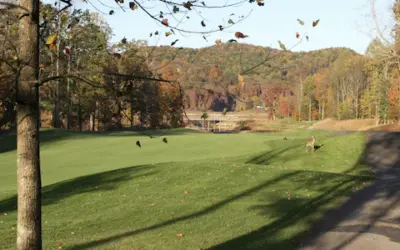 Kyushu golf course