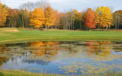 tochigi-golf-course-ranking