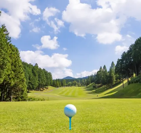 tochigi-golf-course-ranking