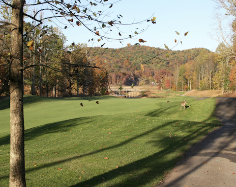 多彩なコース設計で飽きない！