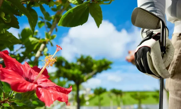 okinawa-golf-course-rankings