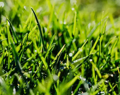 spring-golf-impo…t-points-to-note