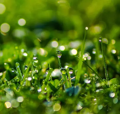 spring-golf-impo…t-points-to-note