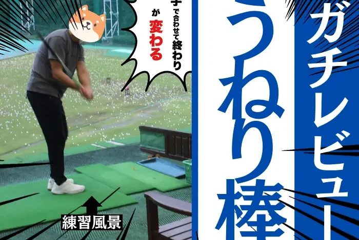 うねり棒の効果・口コミ・使い方まとめ