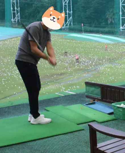 うねり棒柴犬