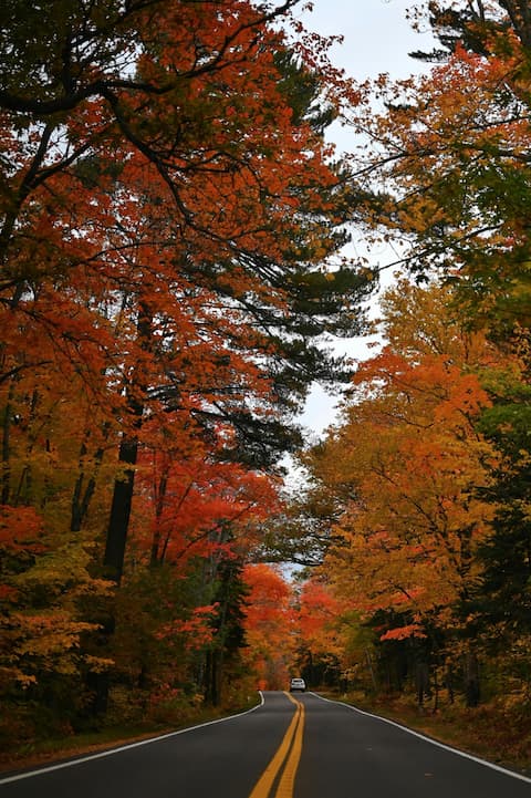 Autumn Foliage Golf Trip
